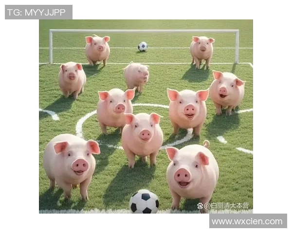 小猪足球的梦想之旅:勇闯绿茵场的快乐冒险与友谊故事 小猪足球的梦想之旅:勇闯绿茵场的快乐冒险与友谊故事