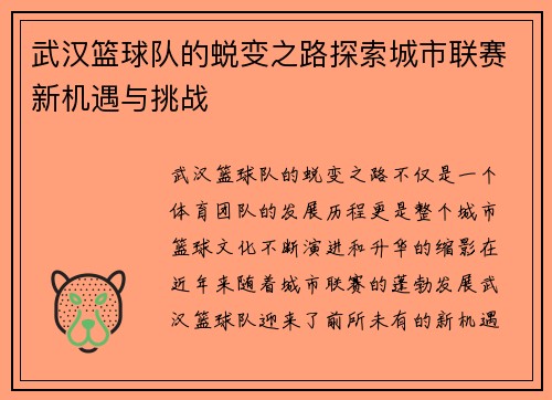 武汉篮球队的蜕变之路探索城市联赛新机遇与挑战