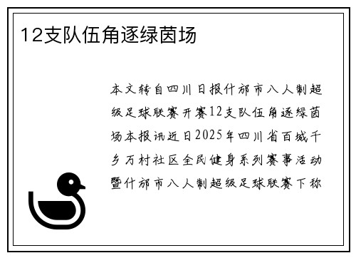 12支队伍角逐绿茵场